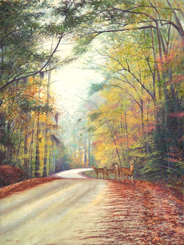 Autumn Whitetail Deer - Canvas Print