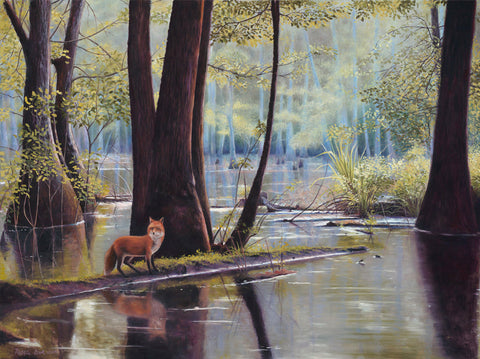 Red Fox - Canvas Print