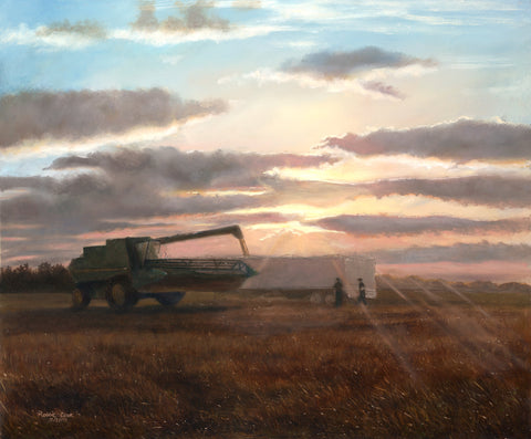 Evening Harvest - Canvas Print