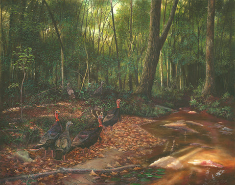 Wild Turkeys Canvas Print